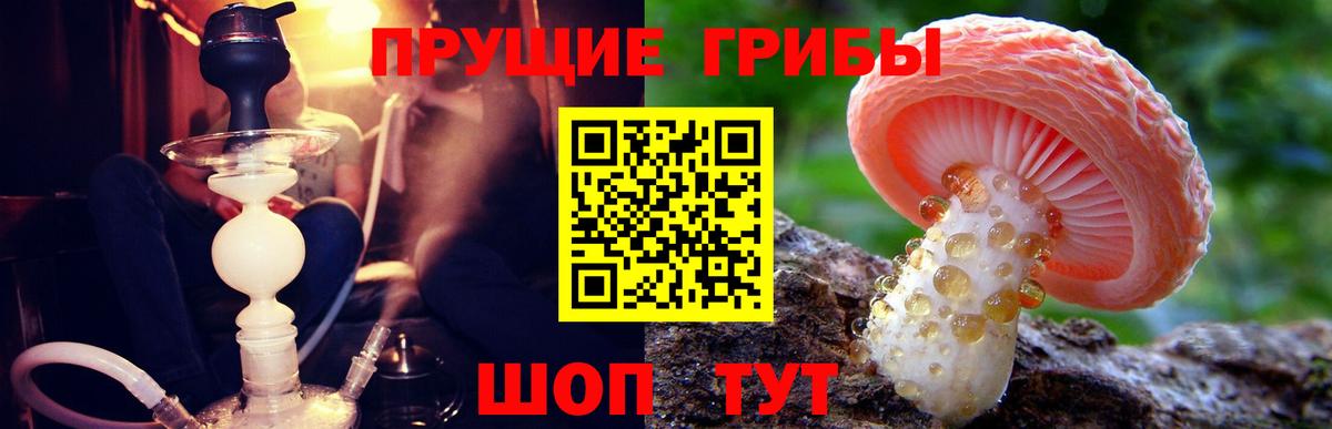 Еманжелинск  Галлюциногенные грибы GOLDEN TEACHER  Вход с VPN  Псилоцибиновые грибы MAGIC MUSHROOMS 